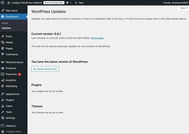 how to manage wordpress updates.